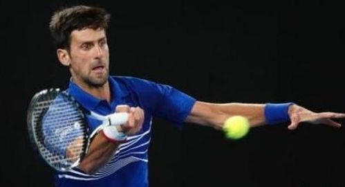 谁将成功登 谁将成功登