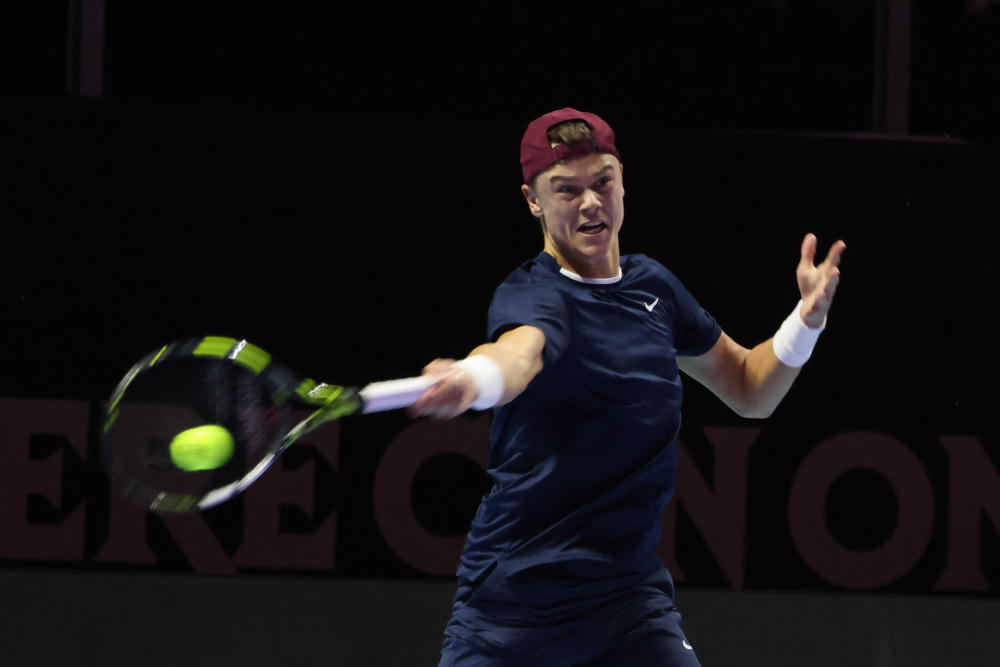 多特蒙德的 多特蒙德的